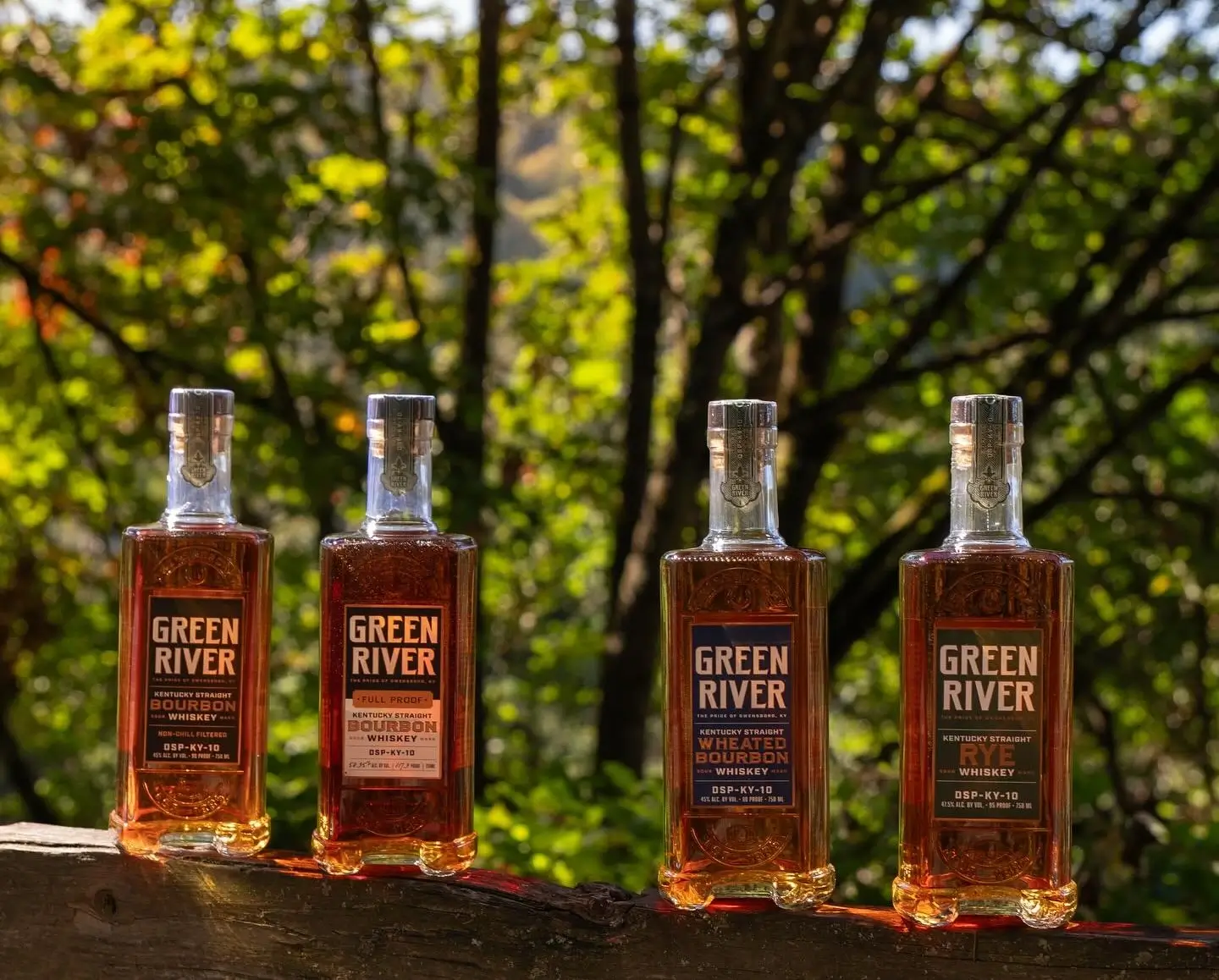 Four Green River bourbon whiskey bottles displayed outdoors with trees and dappled sunlight behind them. 